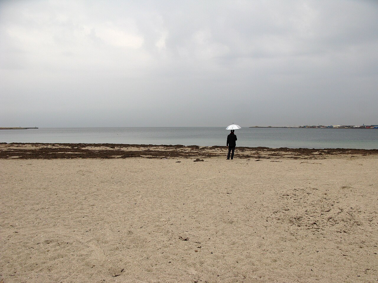 Una fotografia di spiaggia di Svanemøllen