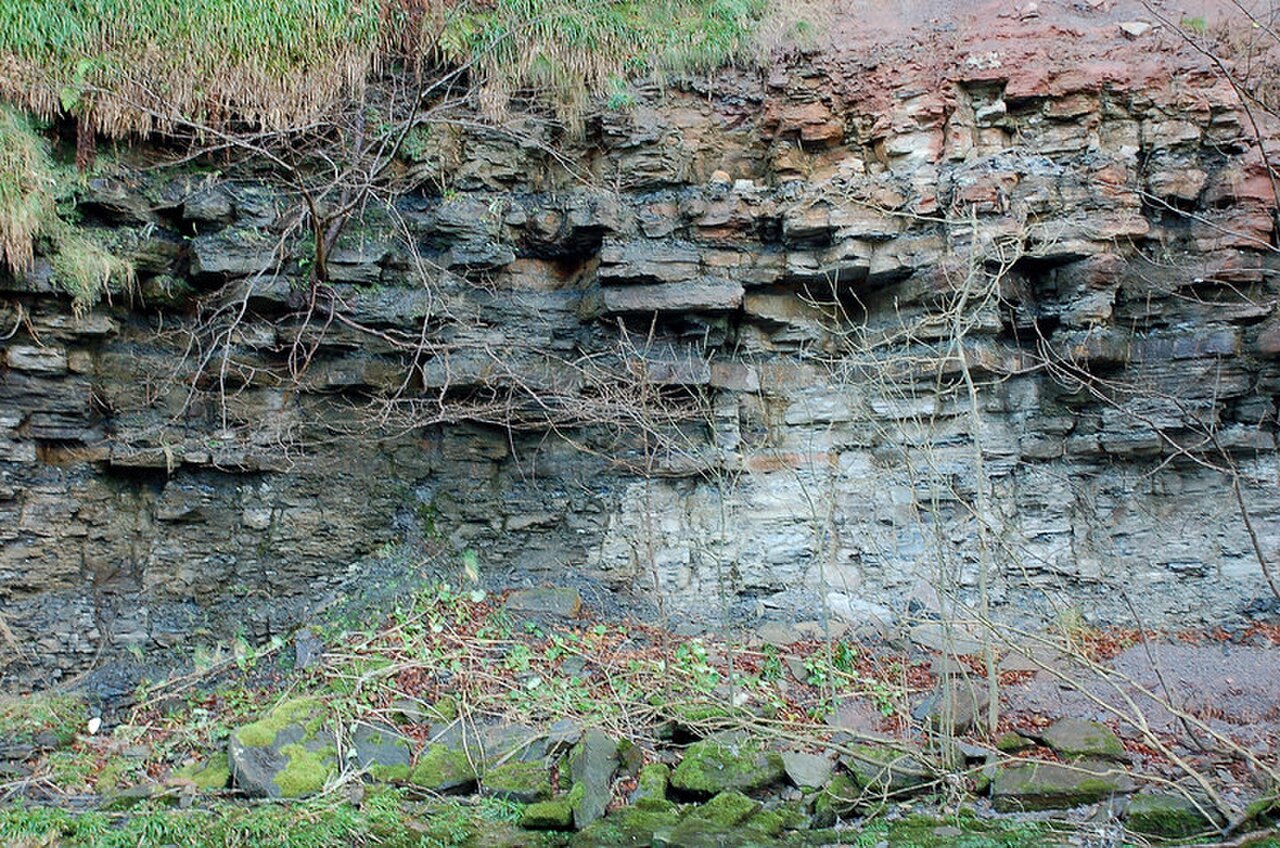 Roslin Glen Country Park