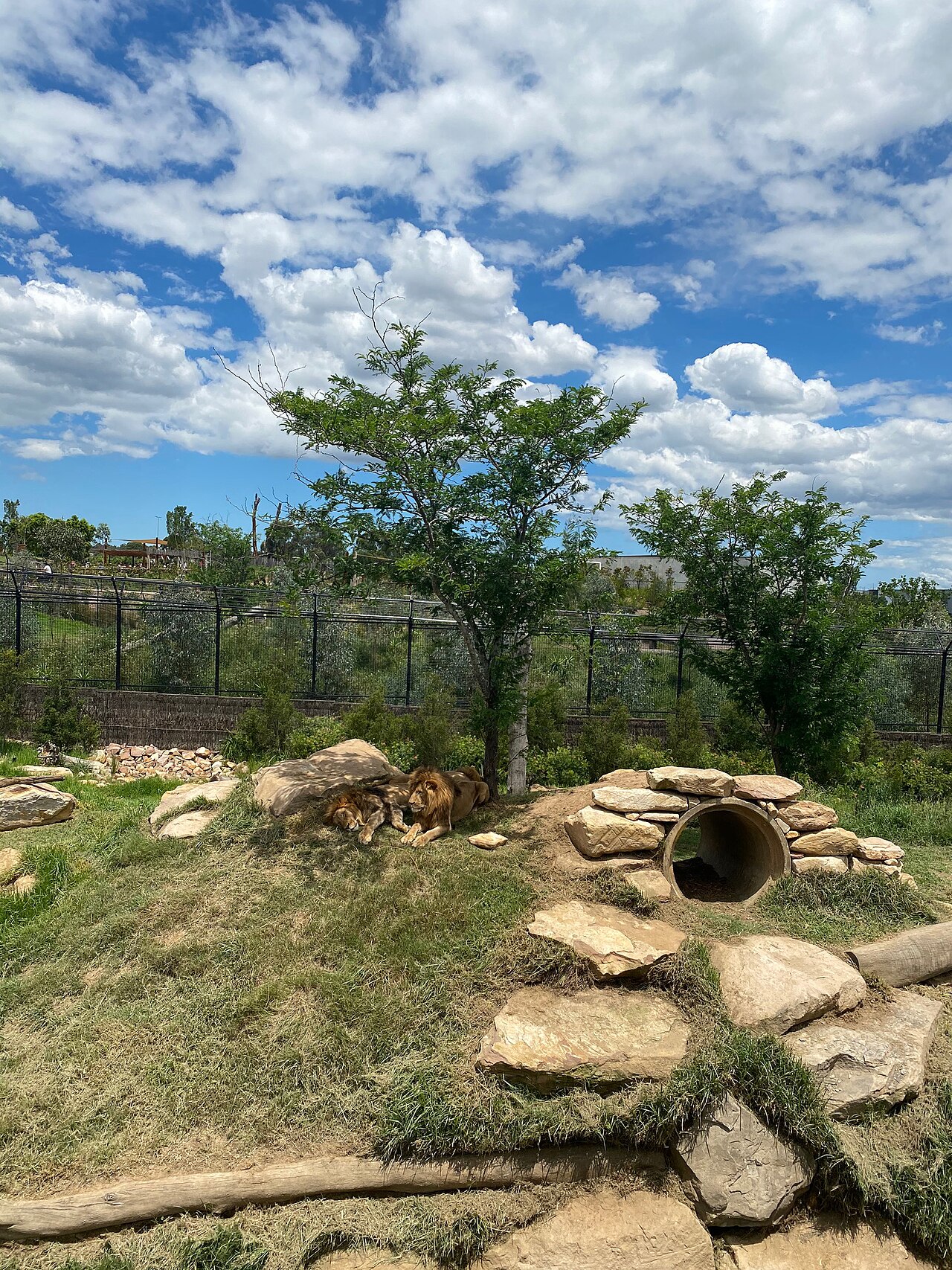 A photograph of Sydney Zoo