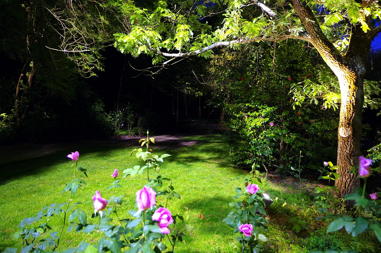 Una fotografia di Giardino della Fondazione Calouste Gulbenkian