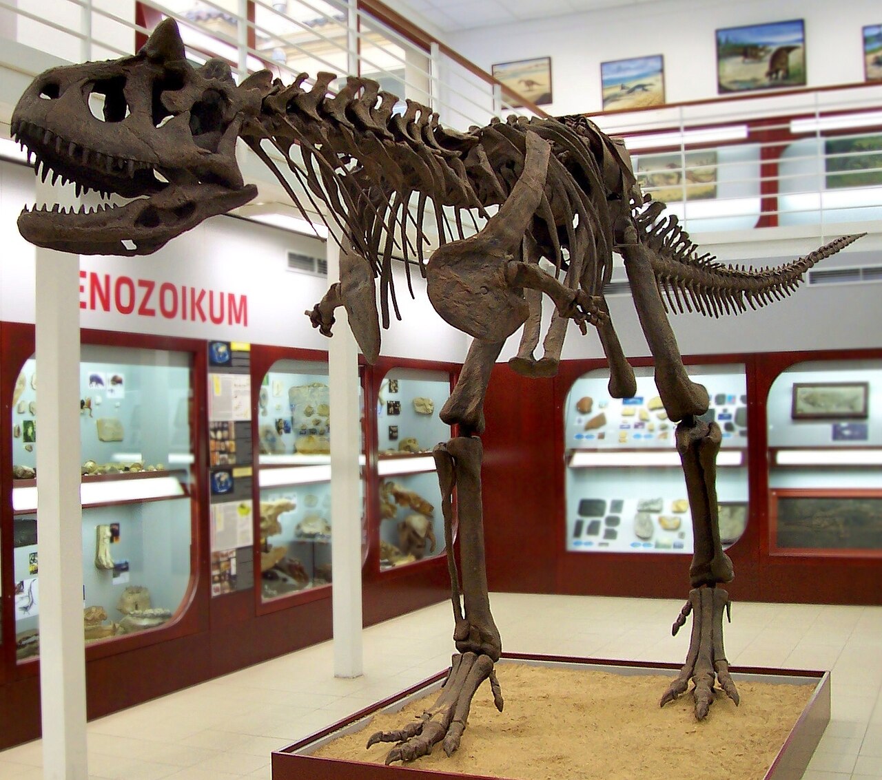 Una fotografia di Museo Chlupáč
