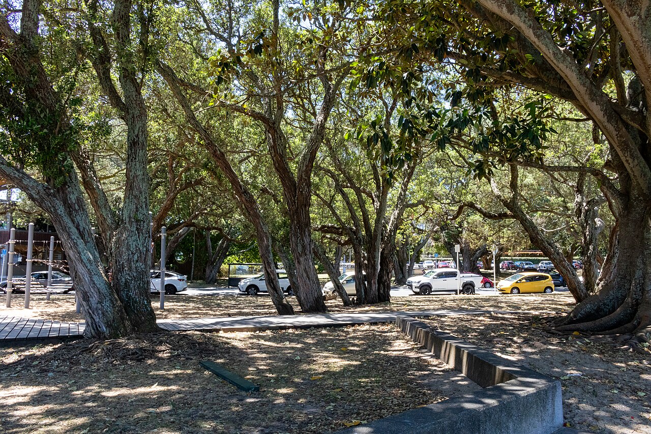 King Edward Parade Reserve fotoğrafı