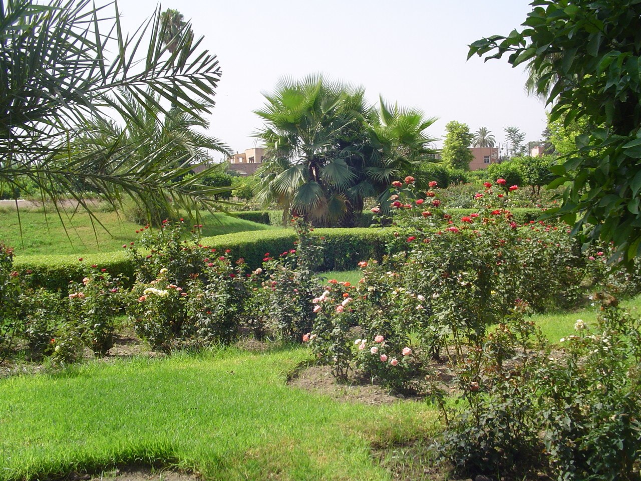 Une photographie de Jardin de la Koutoubia