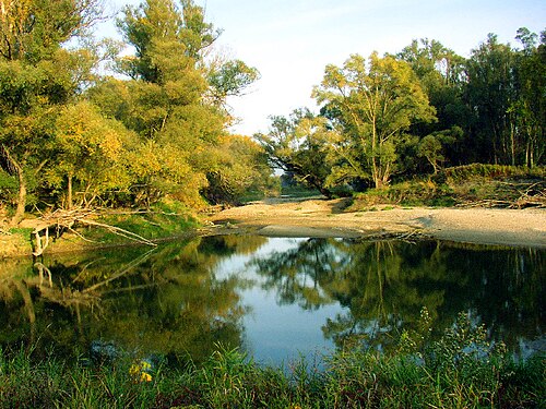 Danube-Auen National Park
