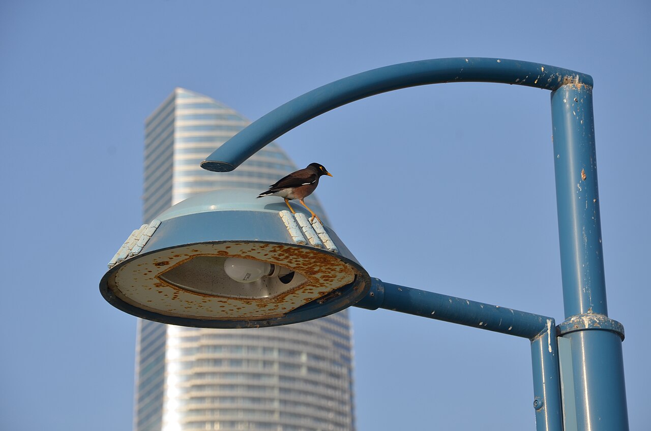 Abu Dhabi Corniche의 사진