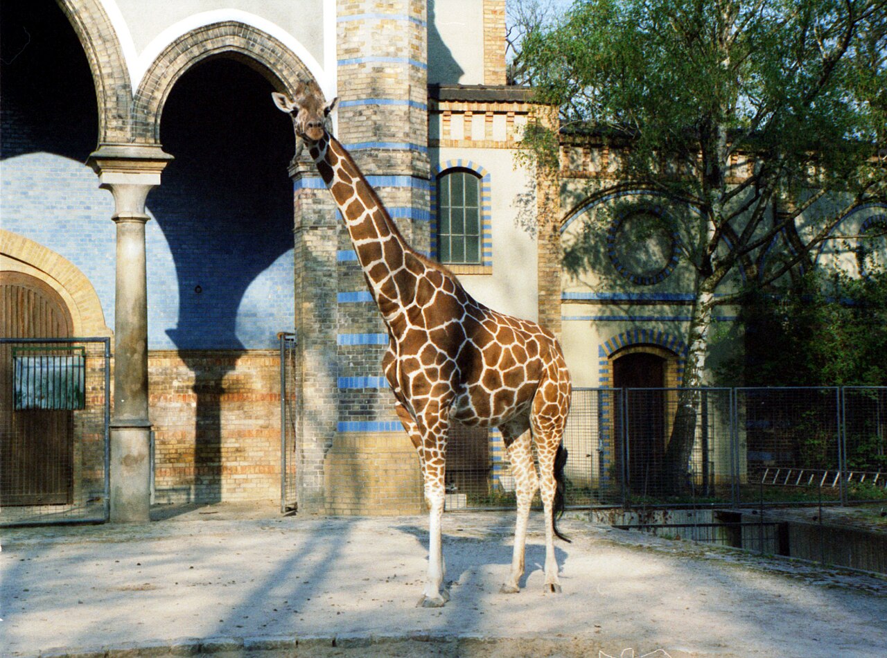 A photograph of Berlin Zoological Garden
