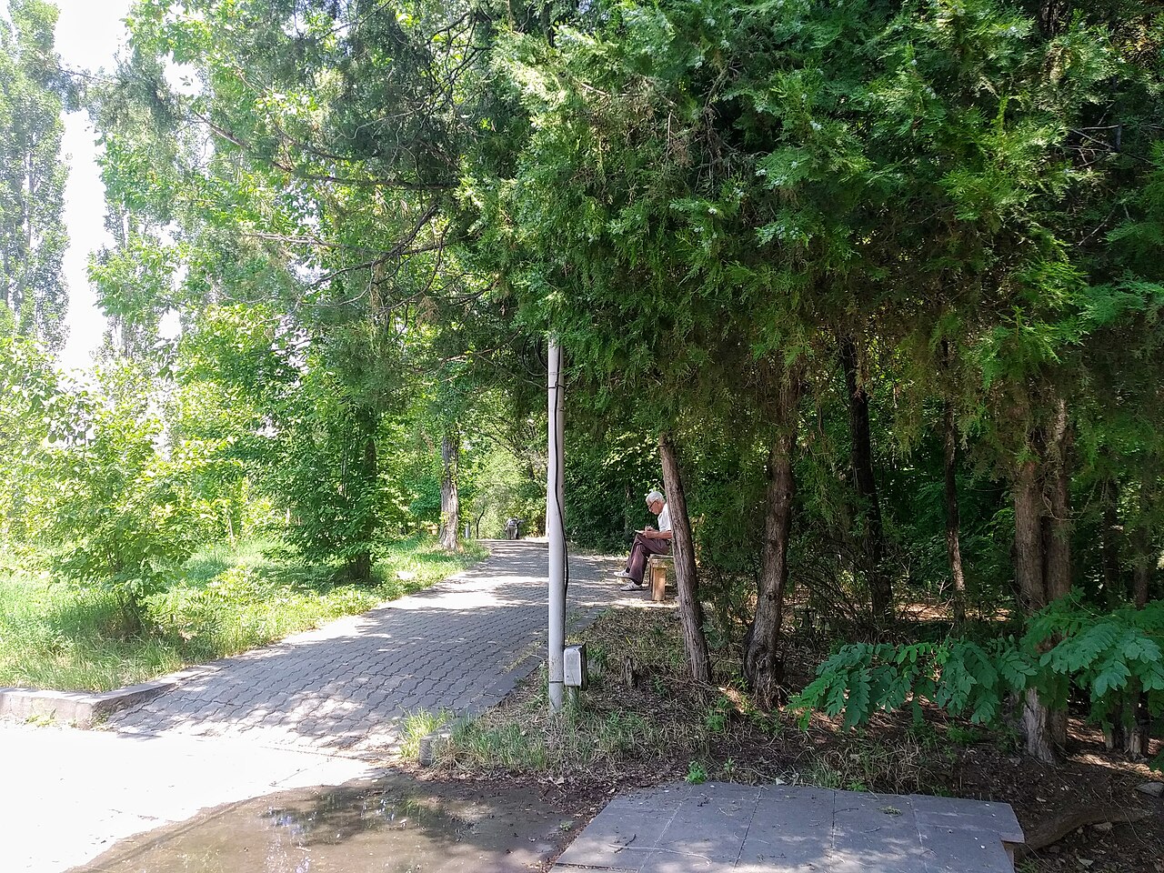 Una fotografia di Parco Nor Arabkir