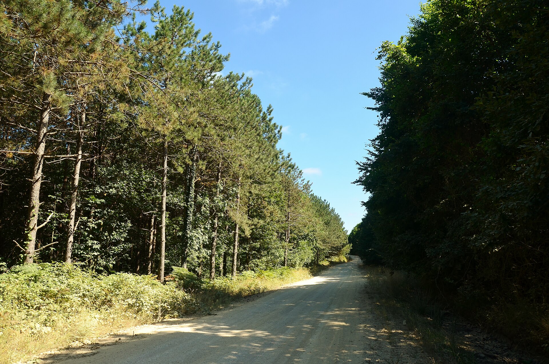 Çatalca の写真
