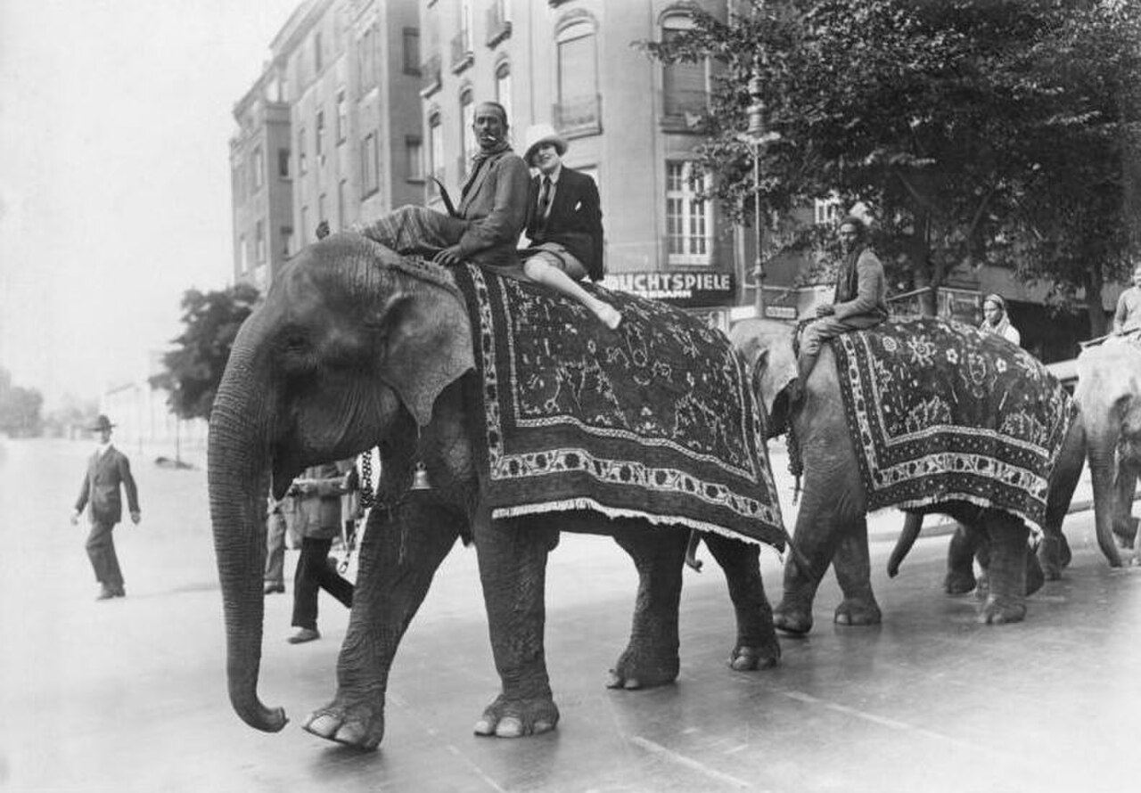 Elephant riding