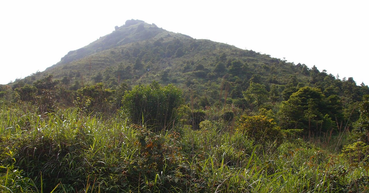 صورة تل بافالو