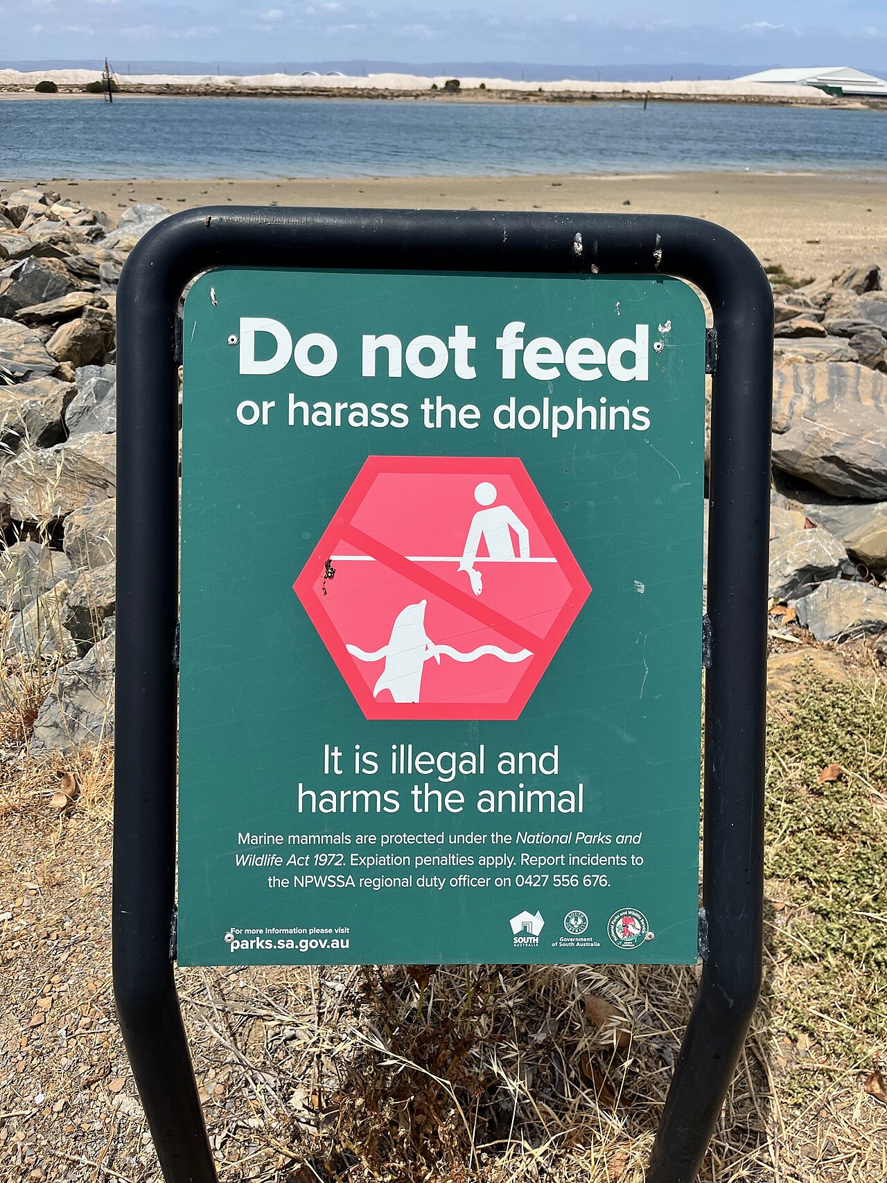 A photograph of Adelaide Dolphin Sanctuary