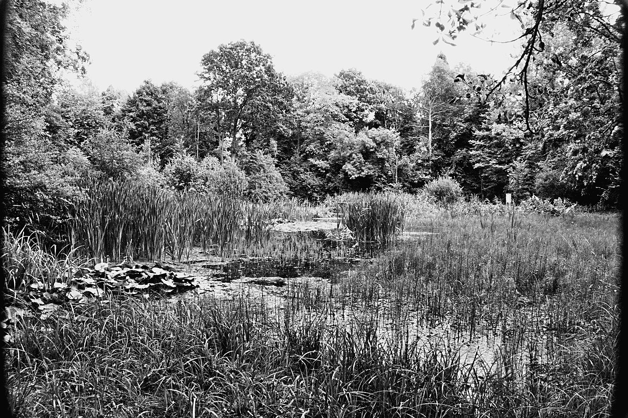 Una fotografia di Giardino sperimentale Jean Massart