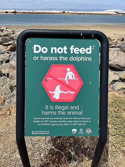 Adelaide Dolphin Sanctuary