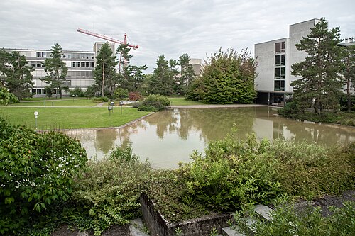 Albert-Steiner-Garten