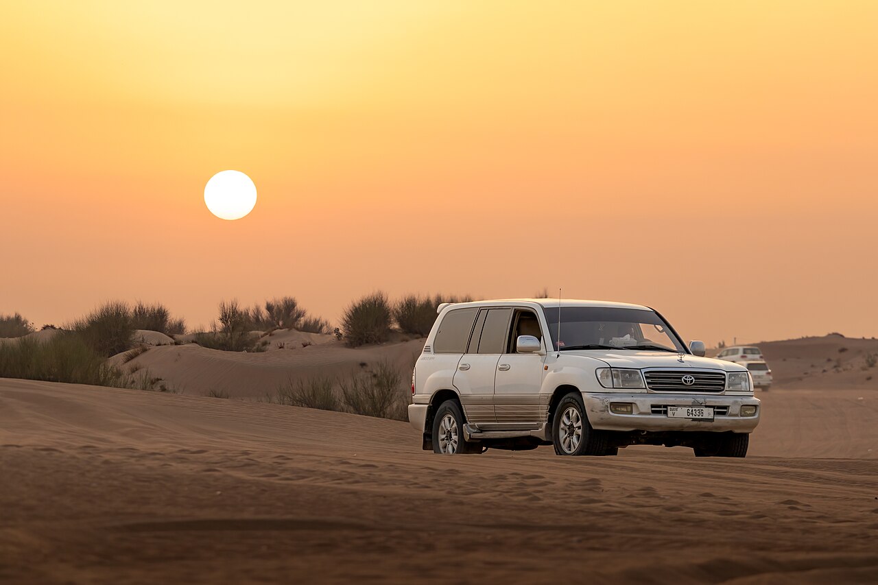 Dubai Desert Conservation Reserve