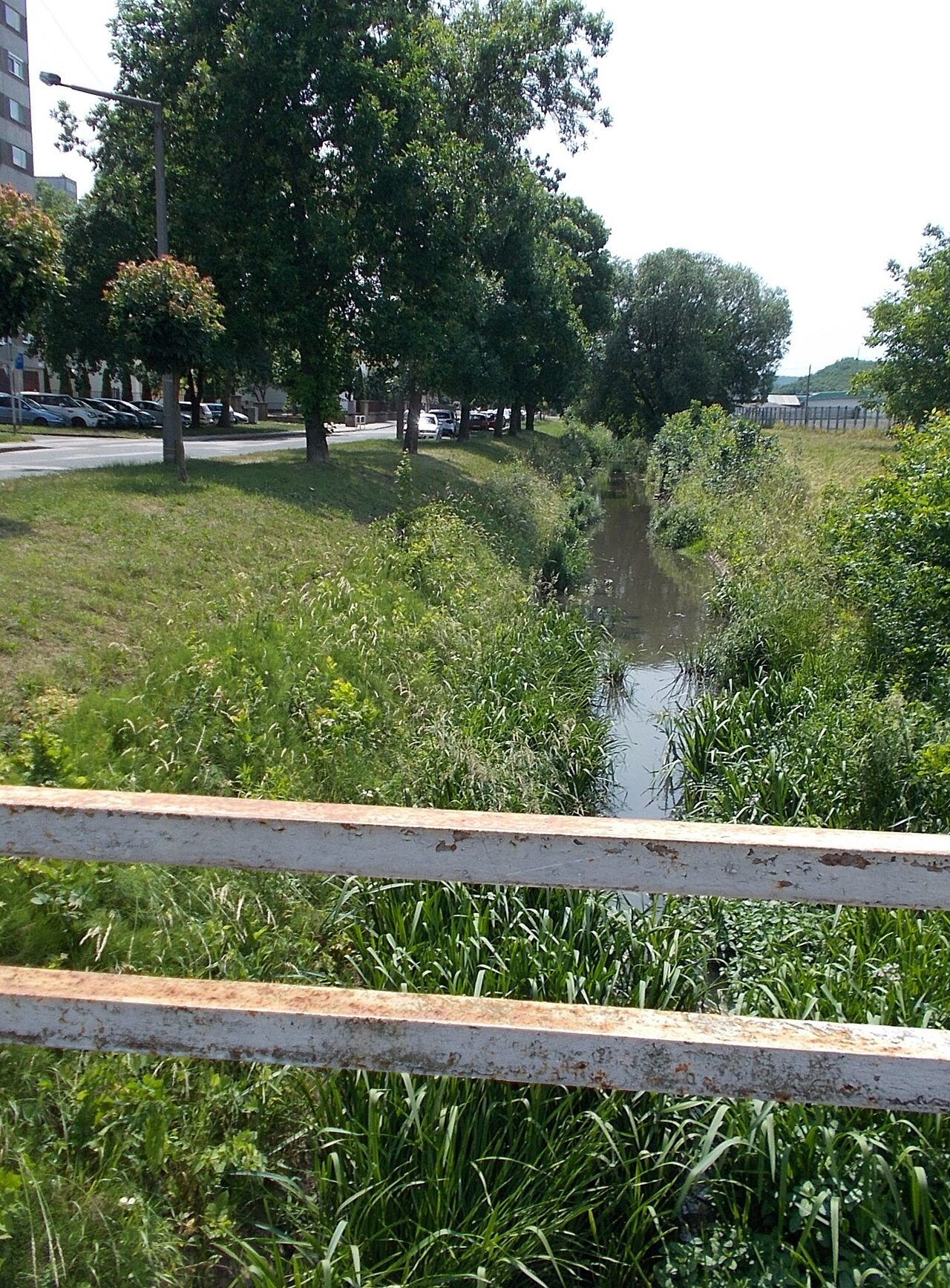 A photograph of Nemzetőr