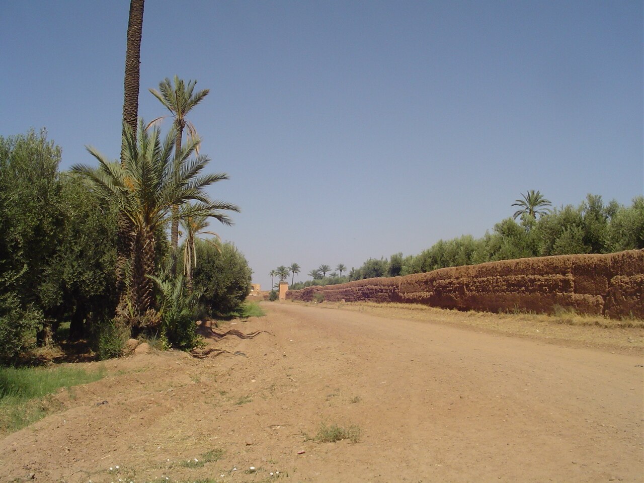 Jardin de l'Agdal fotoğrafı