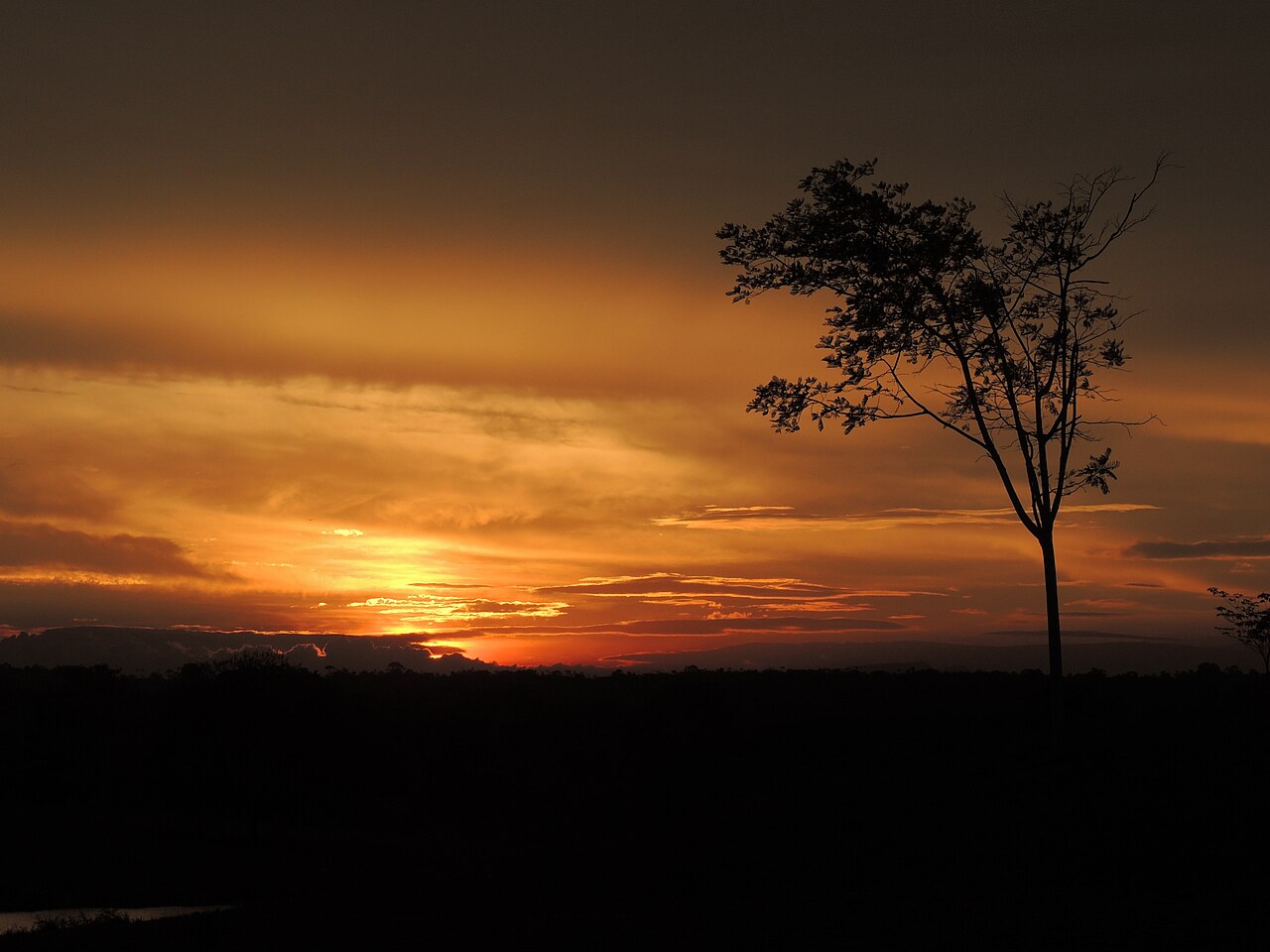 Parque de la Hacienda fotoğrafı