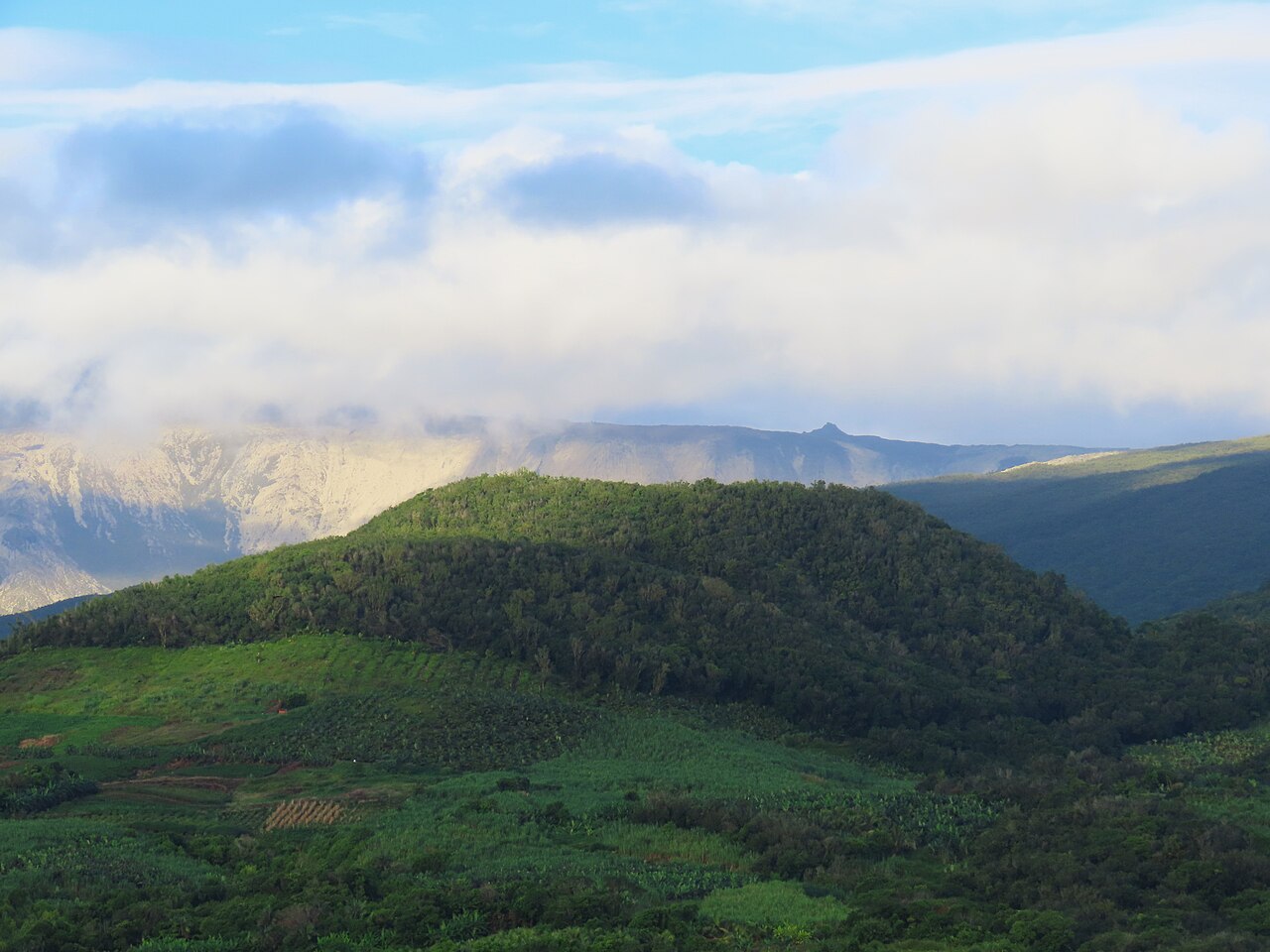 La Moka fotoğrafı