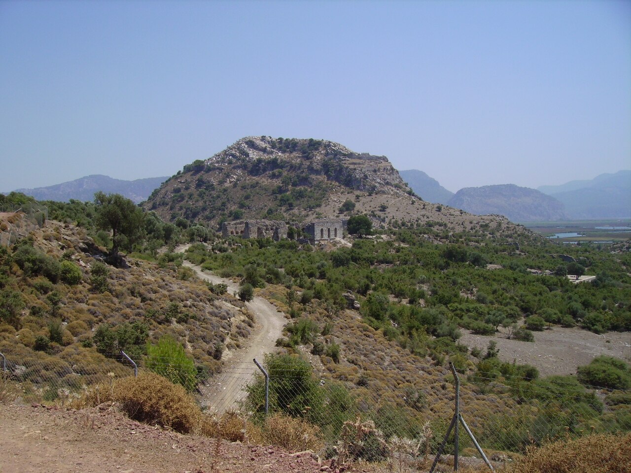 صورة كاونوس