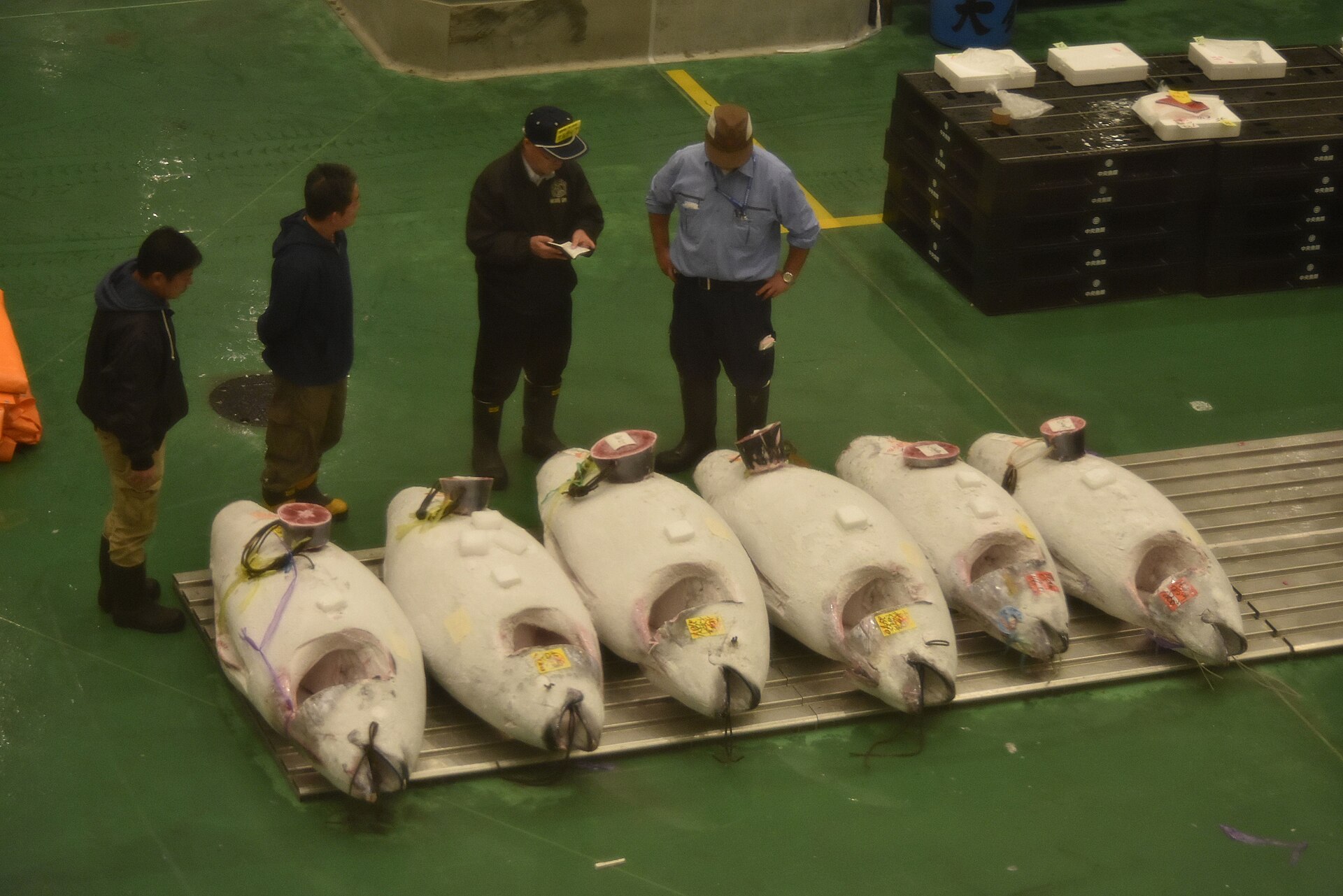Toyosu Market