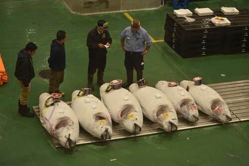 Toyosu Market