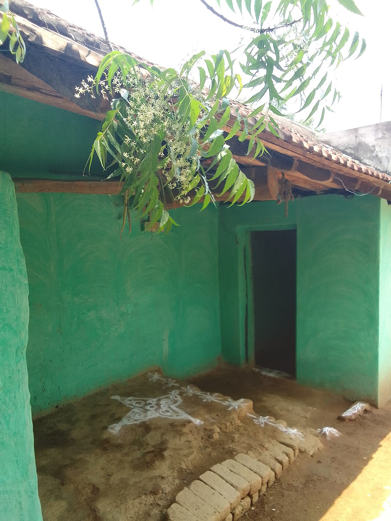 Home fotoğrafı