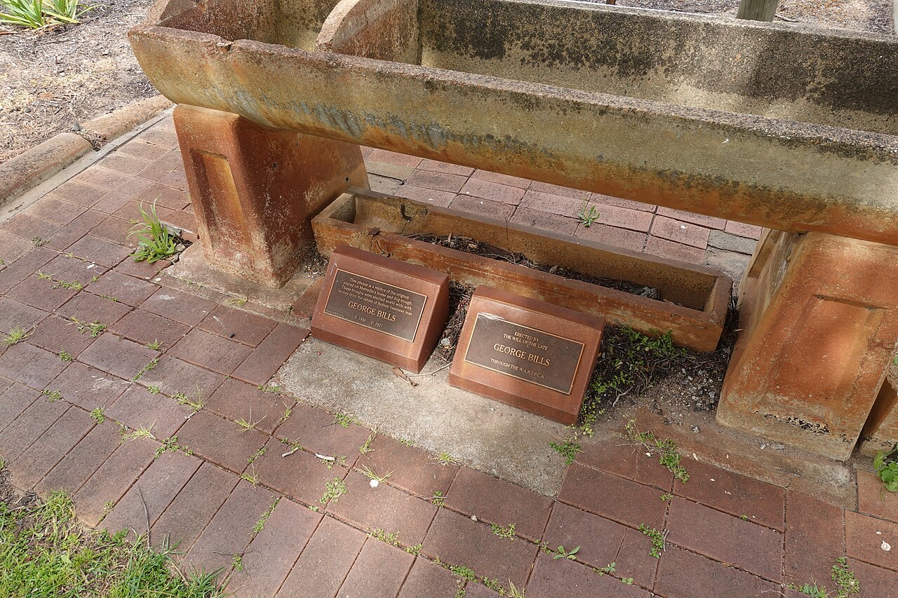 Bills Horse Trough