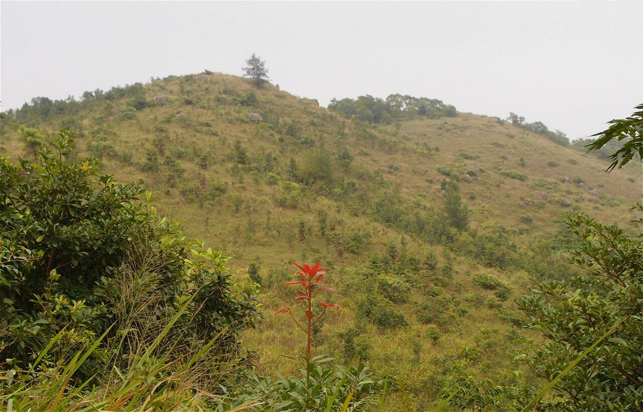 A photograph of Grassy Hill