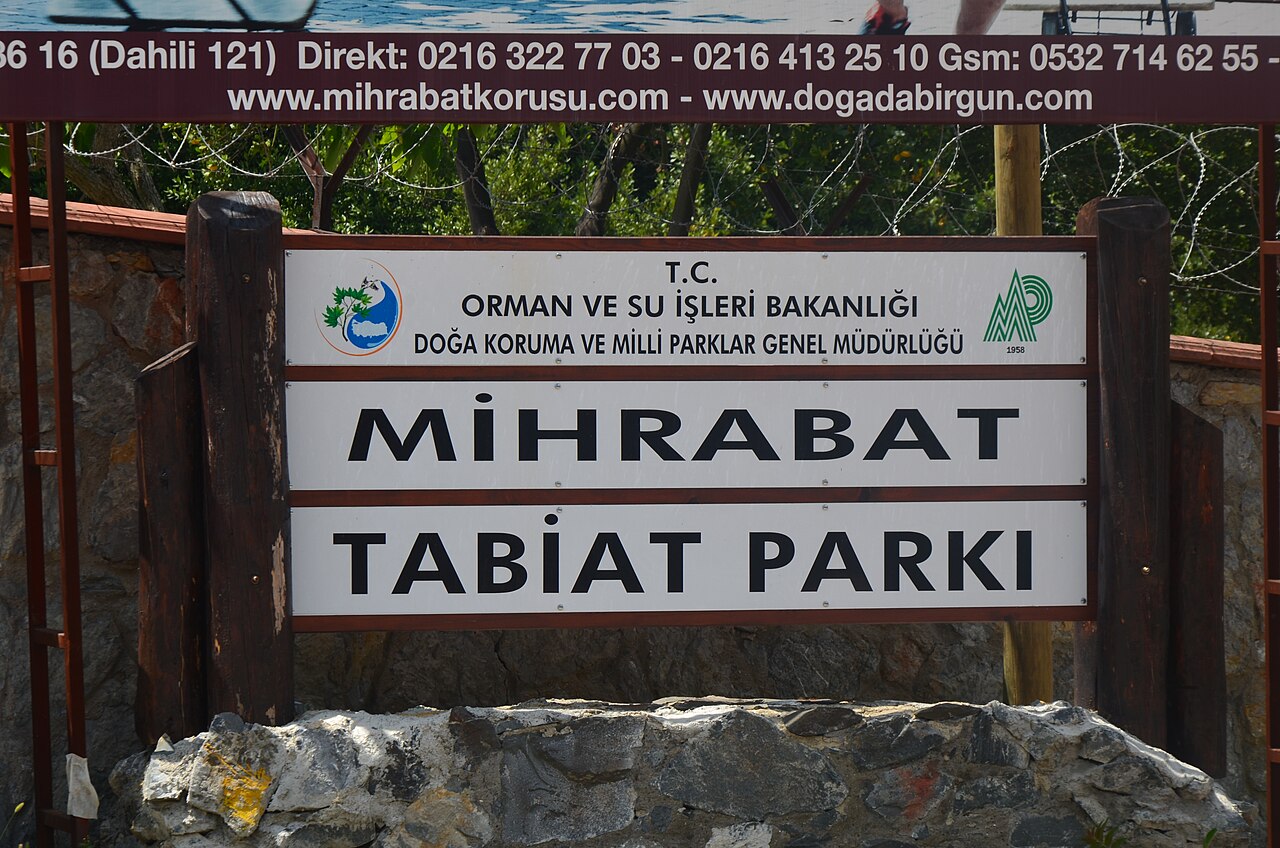 Una fotografía de Mihrabat