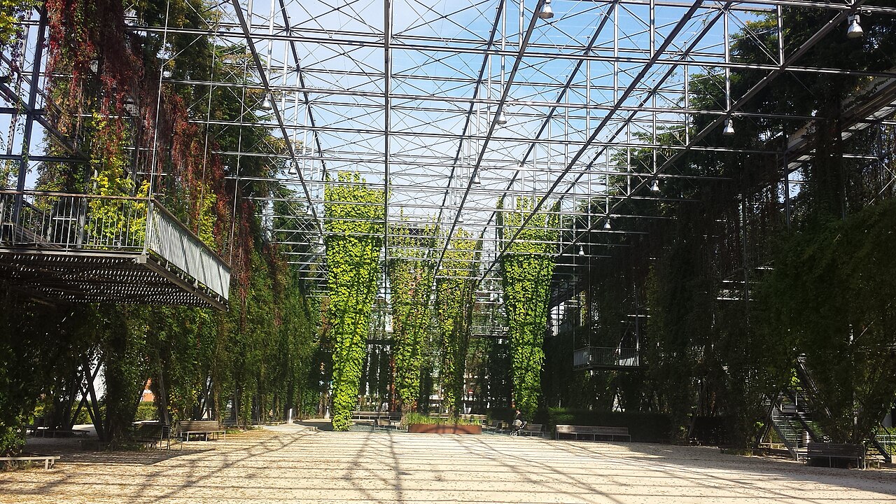 Ein Foto von MFO-Park