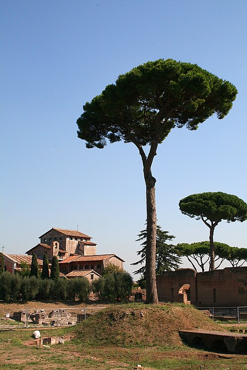 Palatine Hill