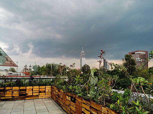 Museo Kaluz