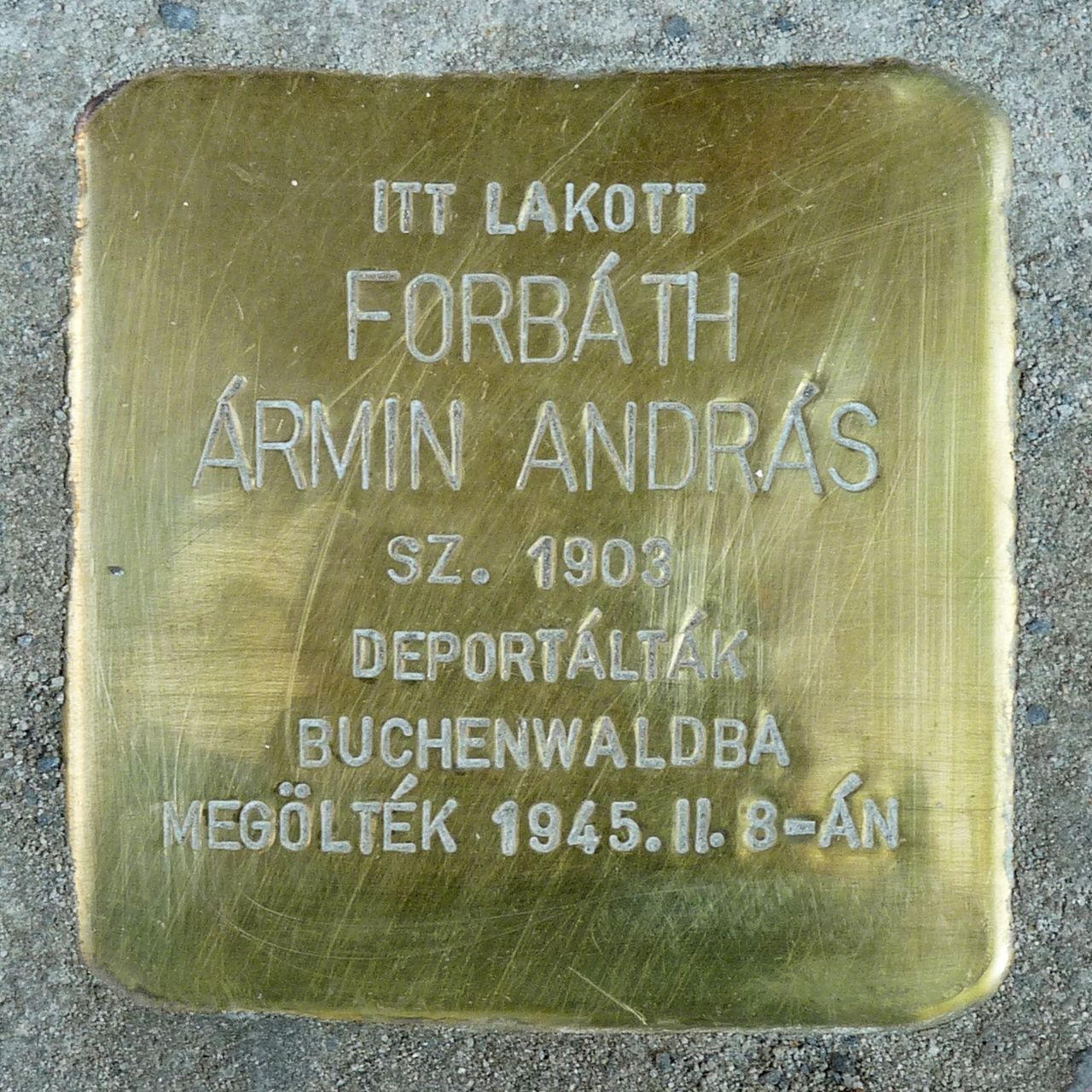 Várfok Galéria