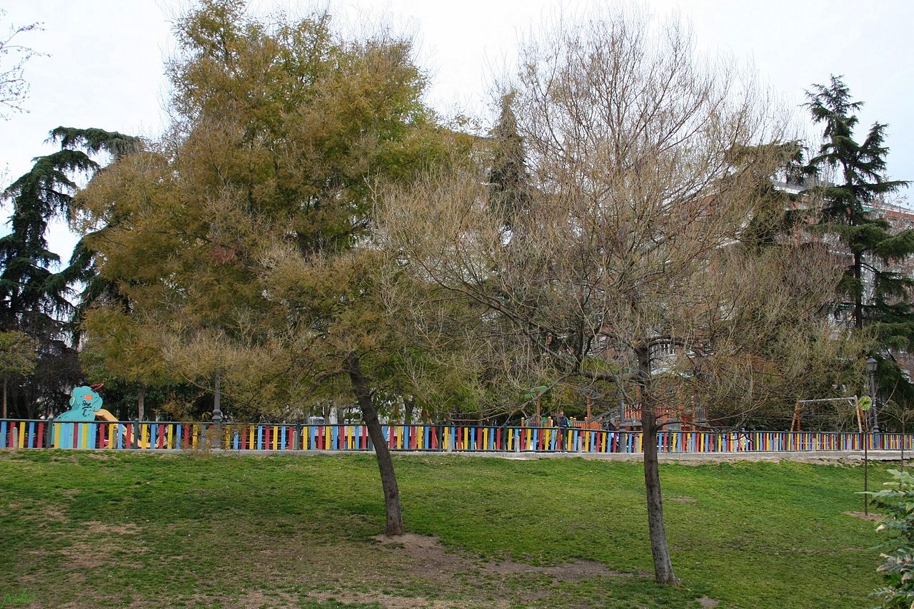 A photograph of Berlin Park