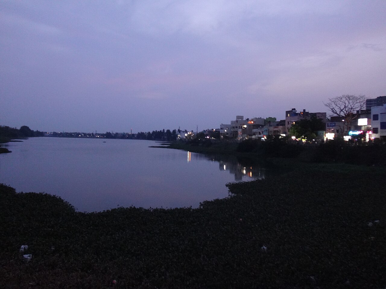 Lake View fotoğrafı