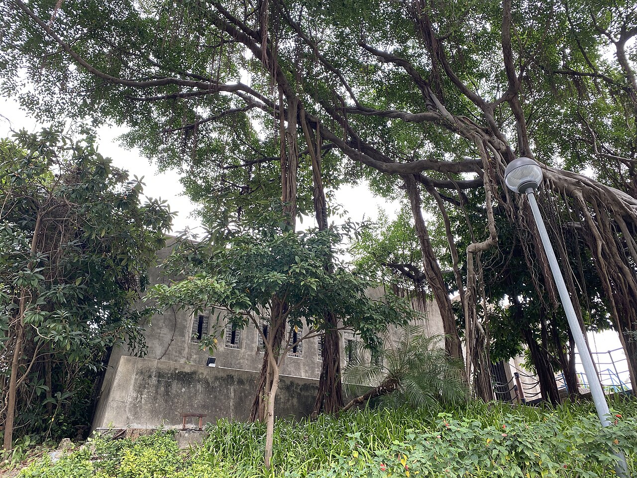 Una fotografia di Forte Dona Maria II