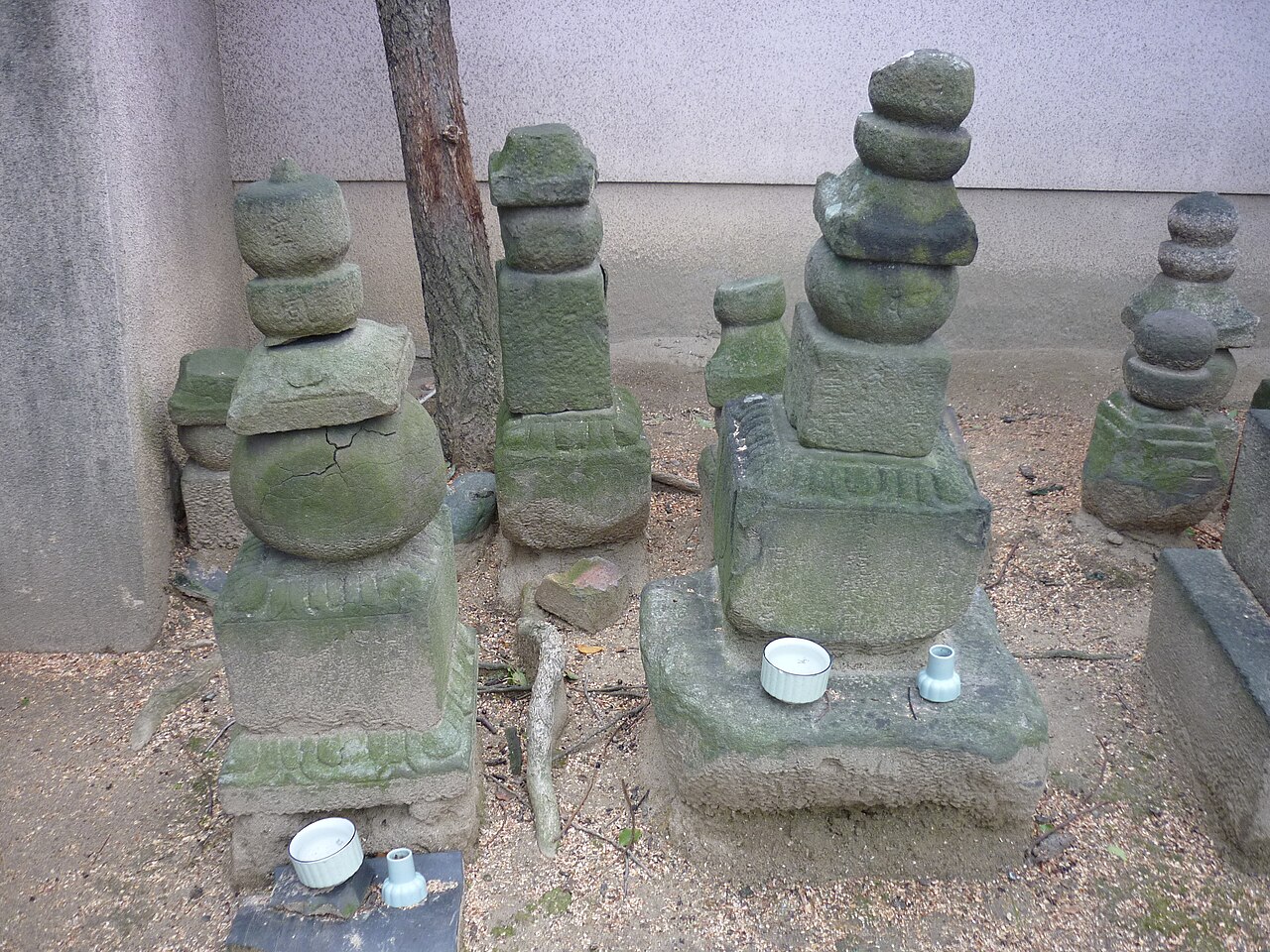 Shinkan-ji Tapınağı fotoğrafı