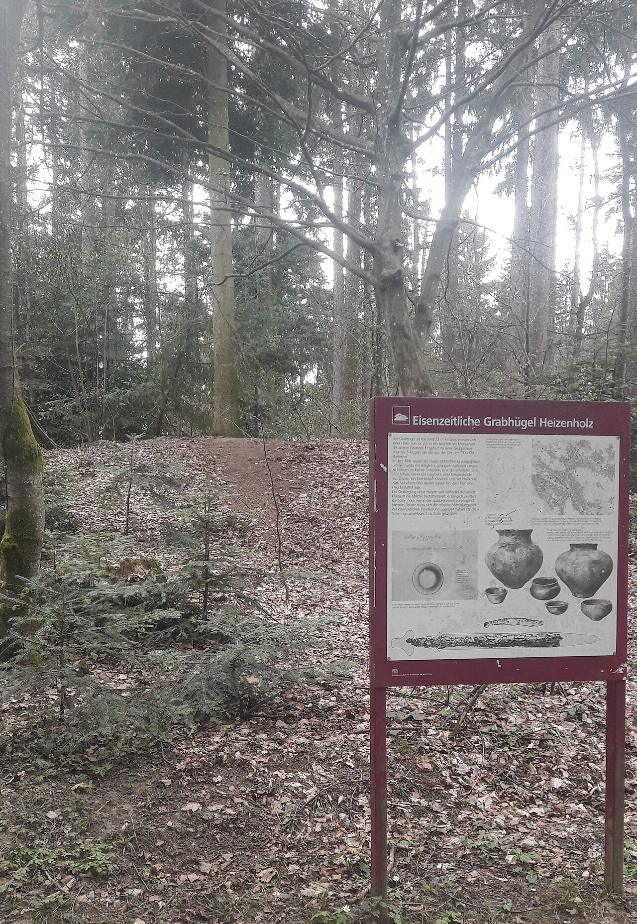 Una fotografia di Hönggerberg