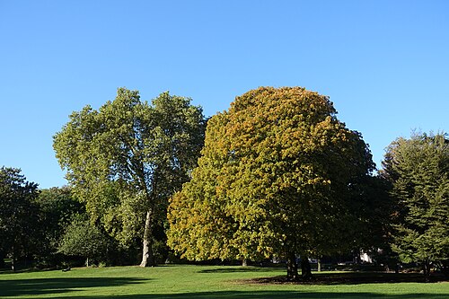 parc Montsouris