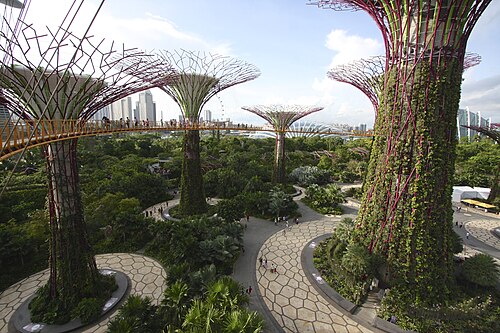 Supertree Grove