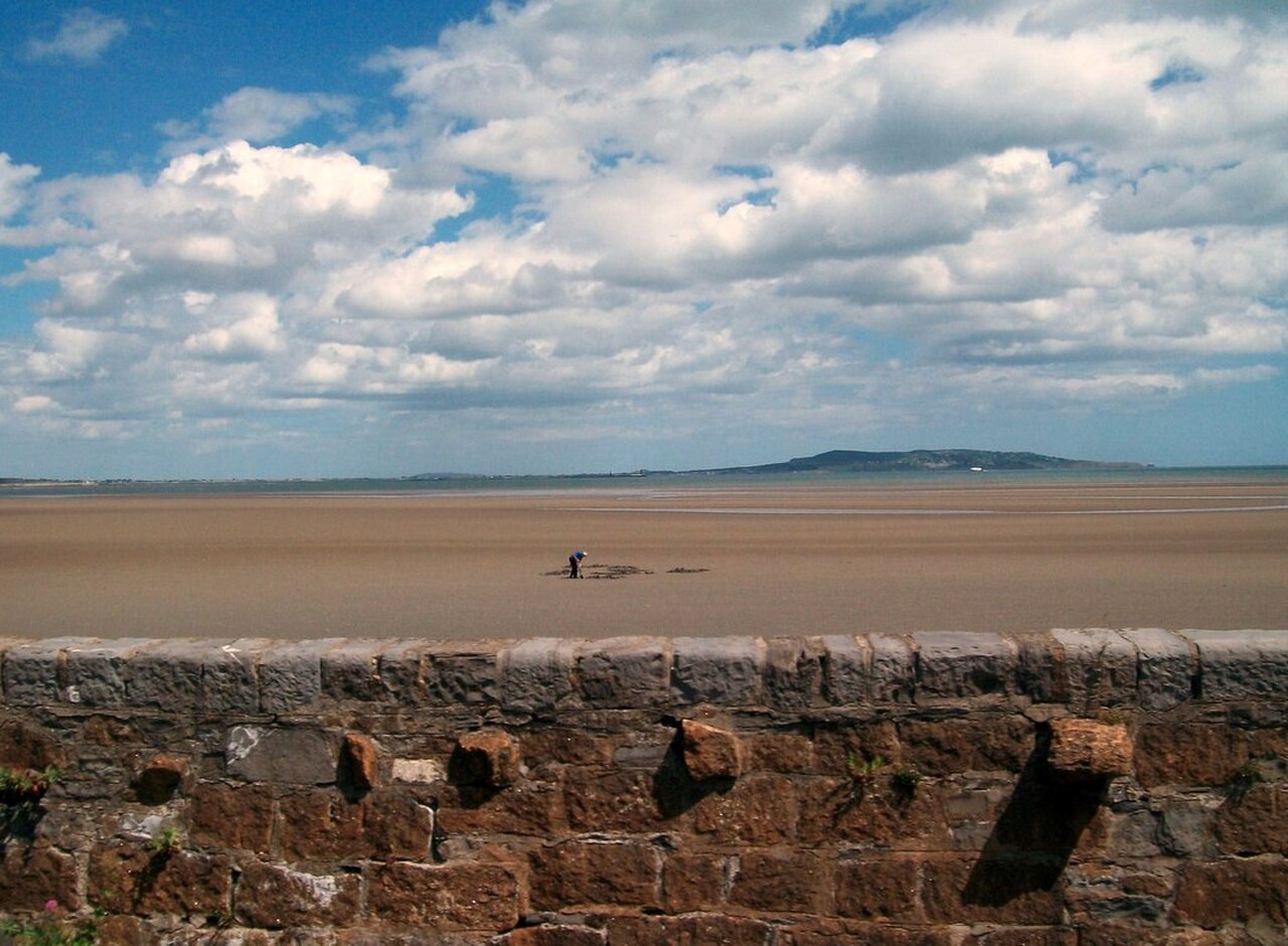 Ein Foto von Sumpf von Booterstown