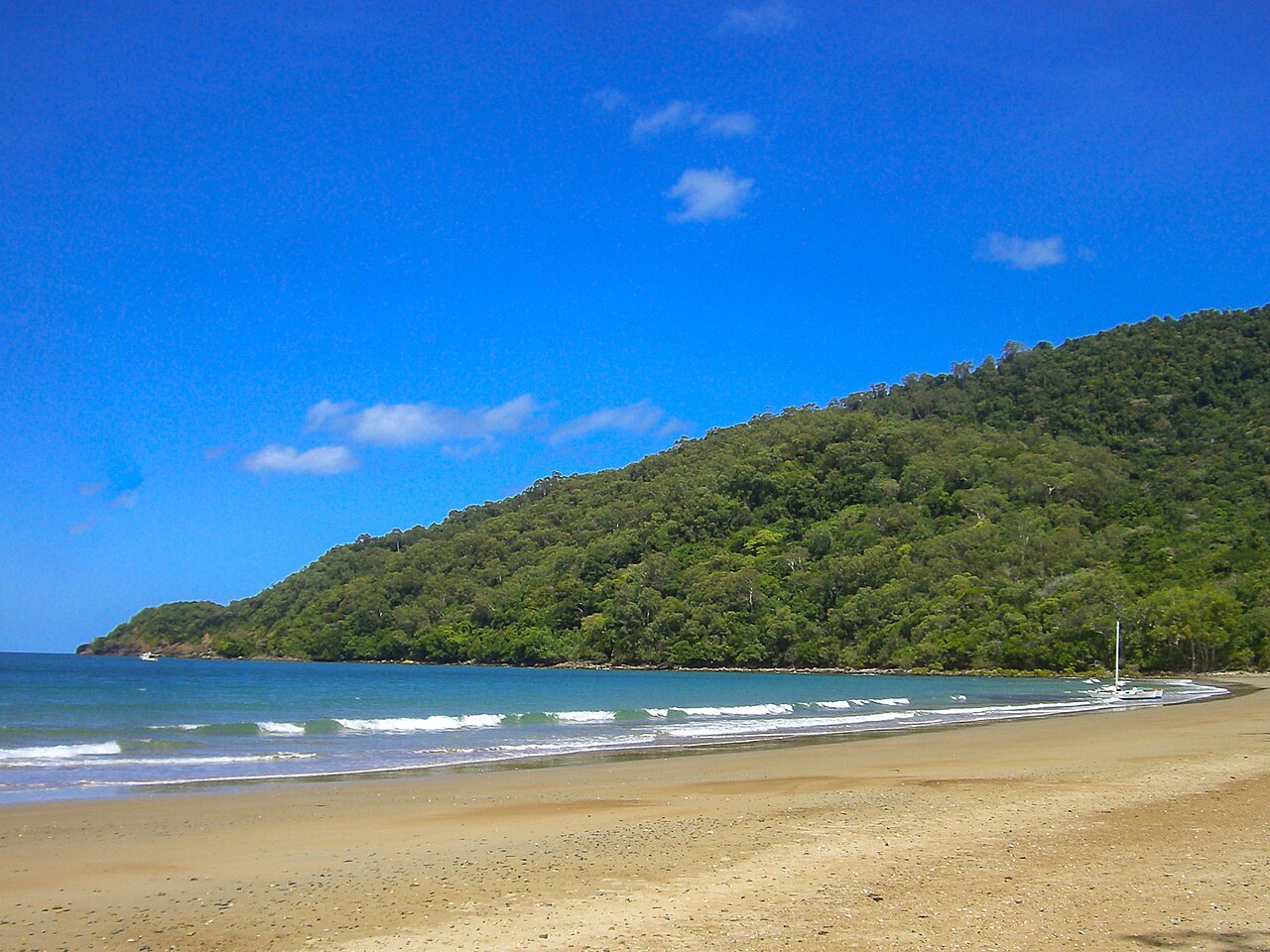 A photograph of Daintree Park