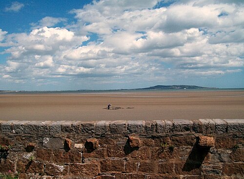 Pântano de Booterstown