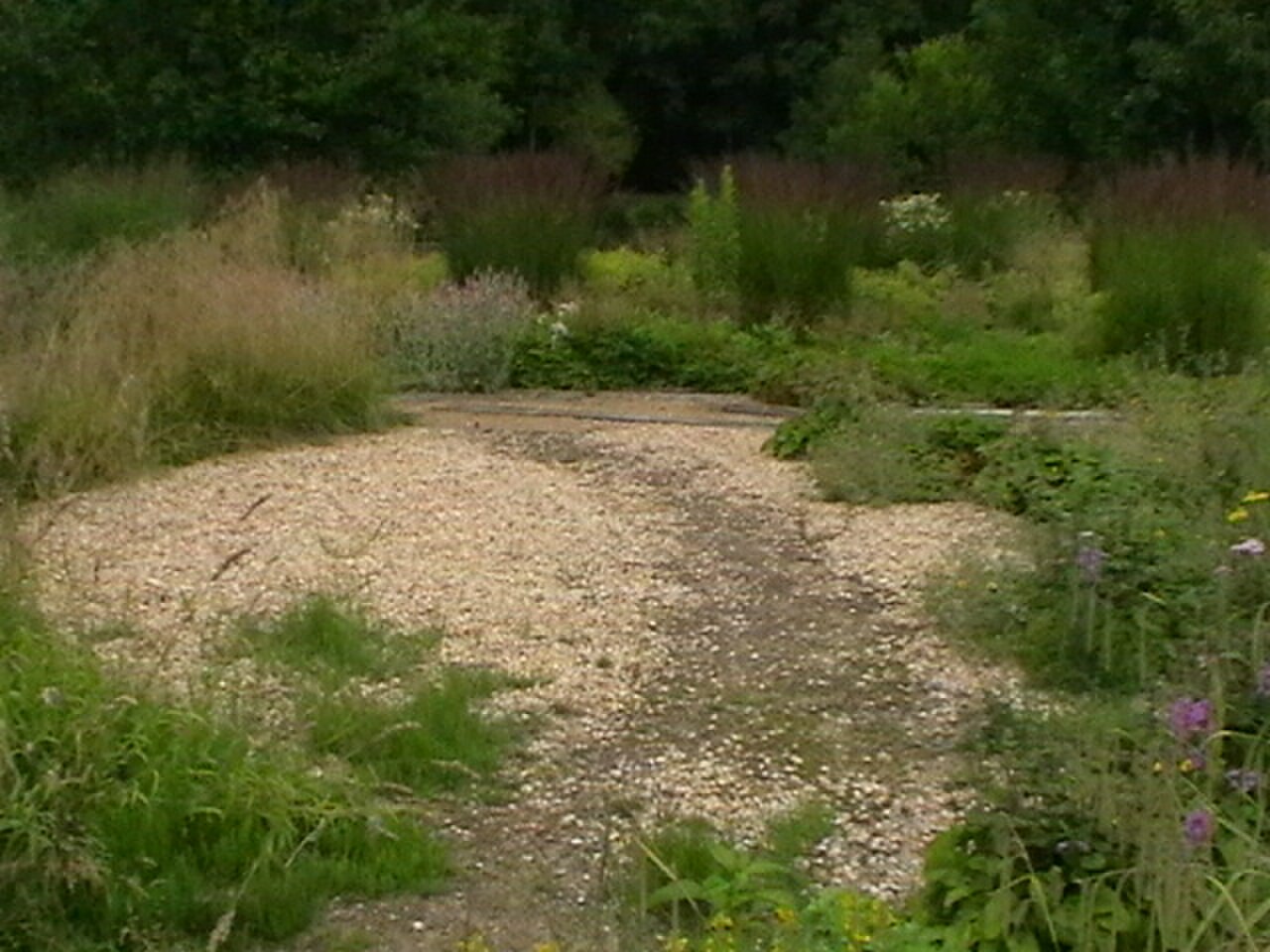 Wildlife Gardens