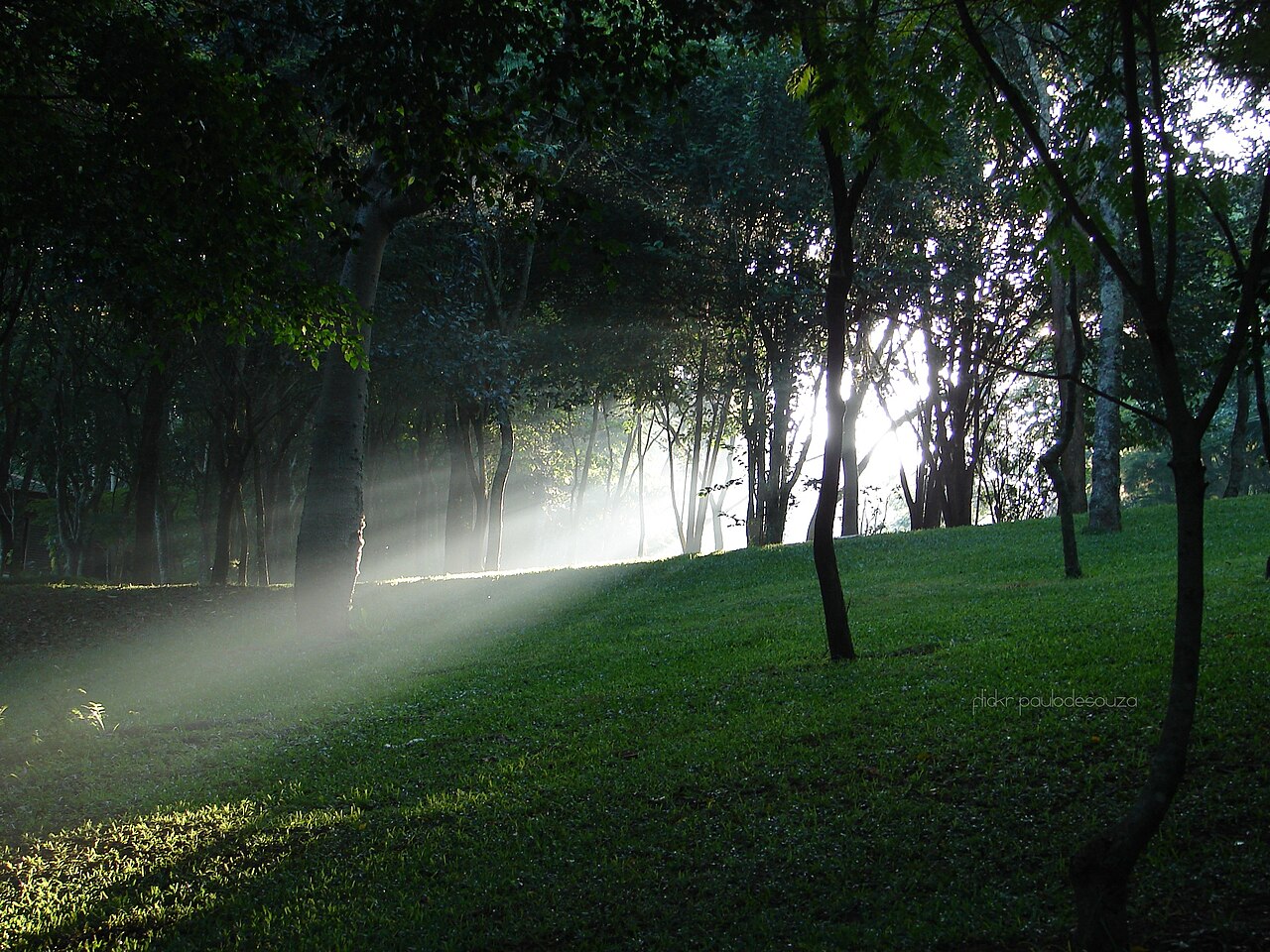 Uma fotografia de Solo Sagrado de Guarapiranga