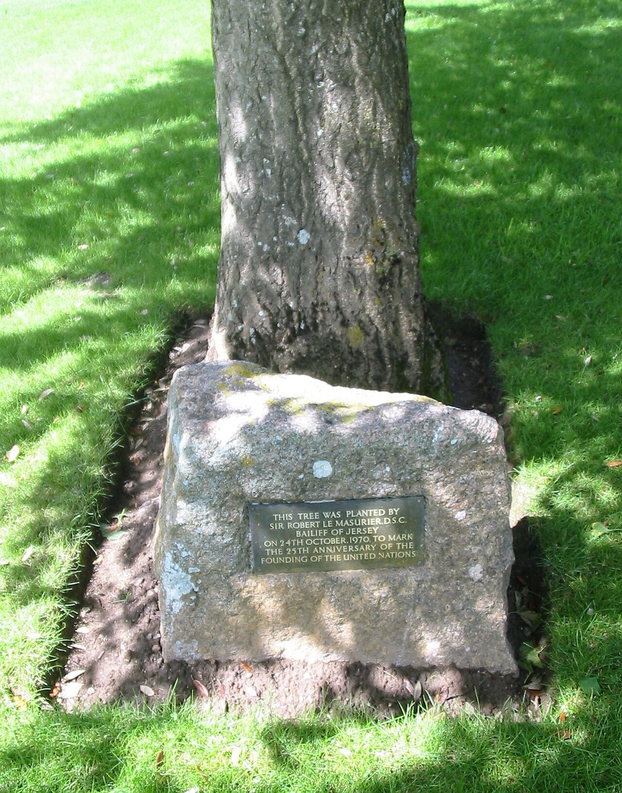 A photograph of Winston Park
