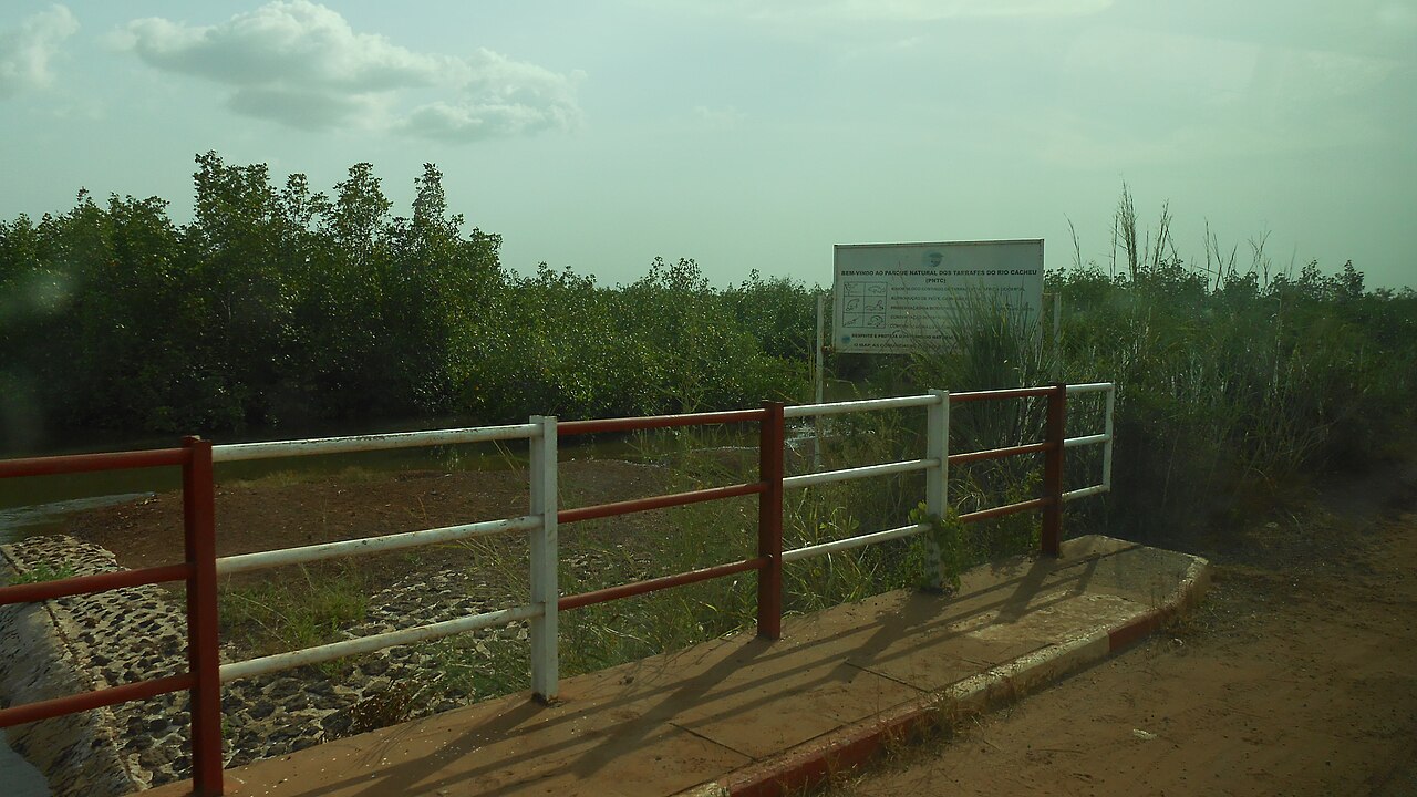 A photograph of Parque Manglar