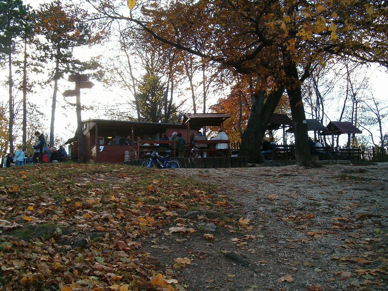 Normafa