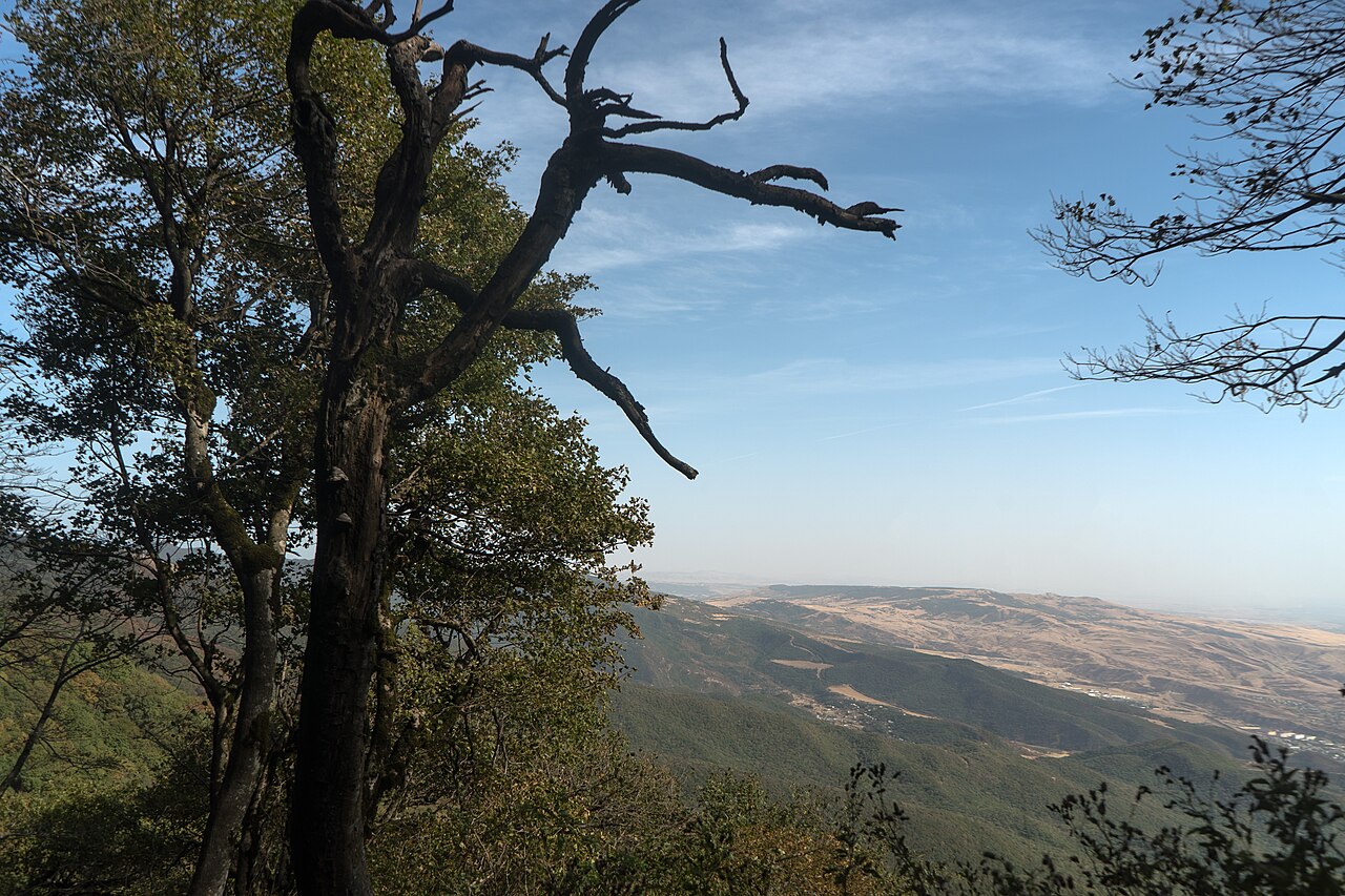 Ein Foto von Nationalpark Tiflis